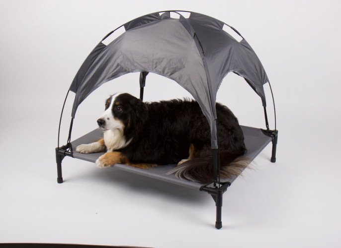 Sun bed with canopy for dogs, CAMP4