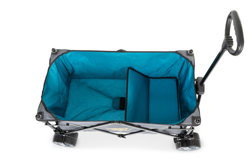 LAGUNE beach buggy