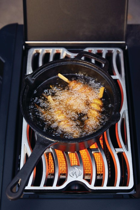 Barbecue NAPOLEON PHANTOM PRESTIGE® 500 RSIB
