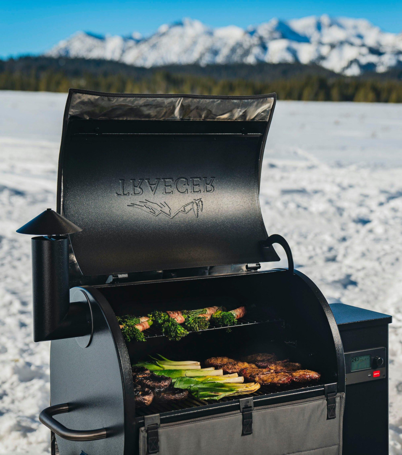 Barbacoa TRAEGER de pellets Pro D2 575