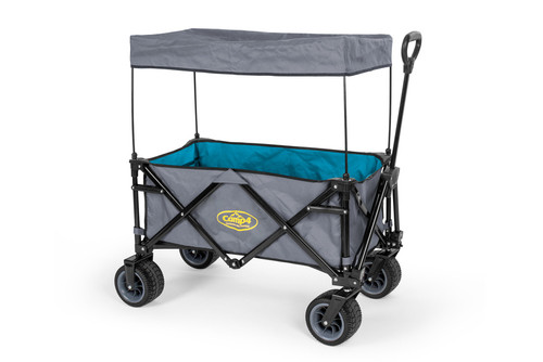 LAGUNE beach buggy
