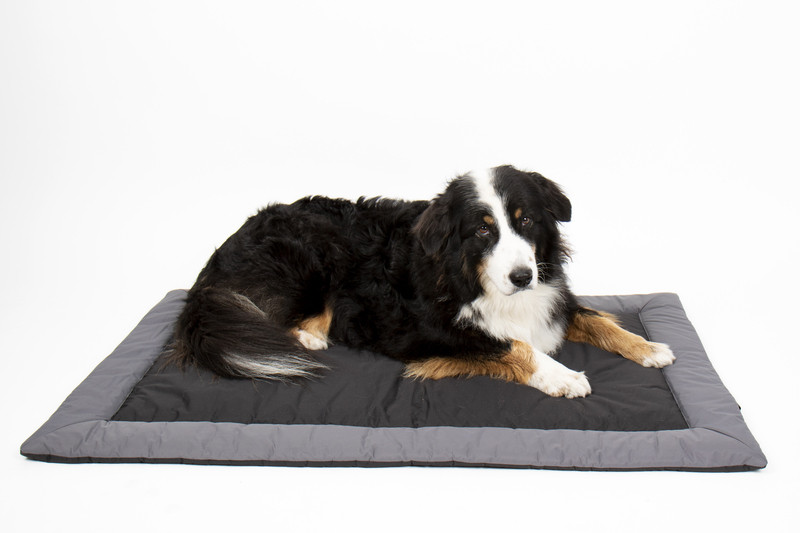 Llit per gos CAMP4 Abby 100x65cm