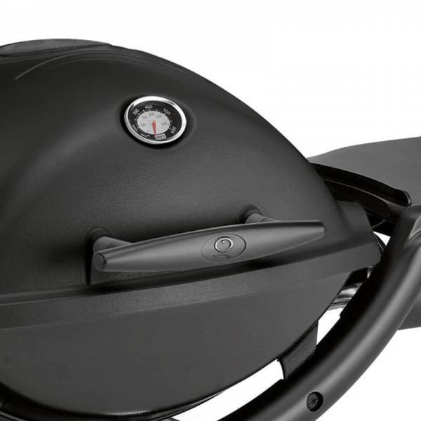 WEBER Q 2200 Gasgrill