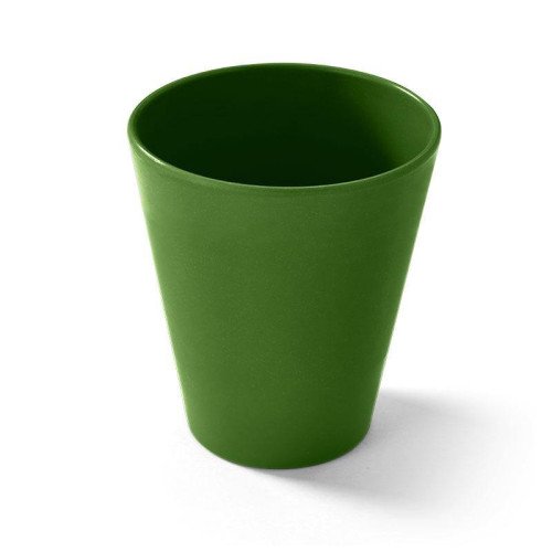Biodegradable bamboo cup