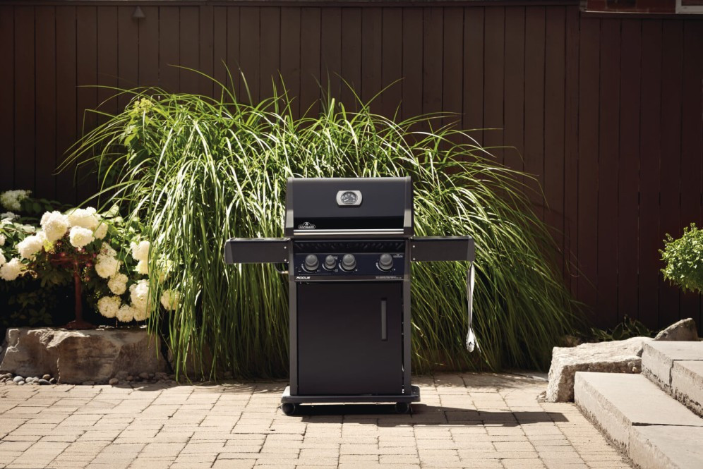 Barbacoa NAPOLEON Rogue XT 425 SIB