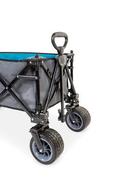 LAGUNE beach buggy