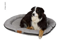 Lit pour chien HOLIDAY TRAVEL 100x75cm
